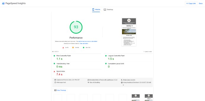 mobile friendly website from Google