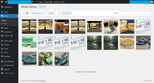 Wordpress Media Library